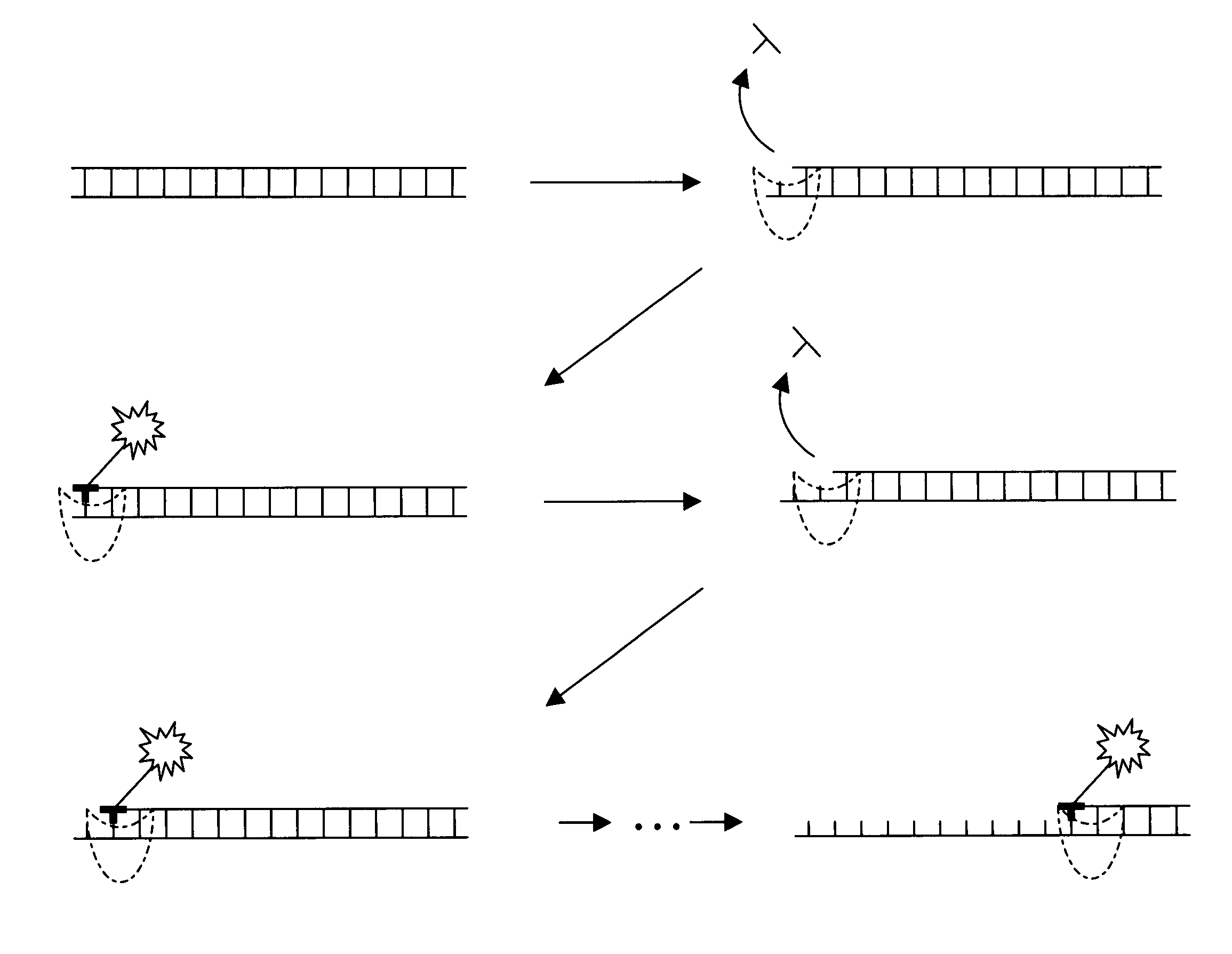Nucleic acid sequencing methods and systems