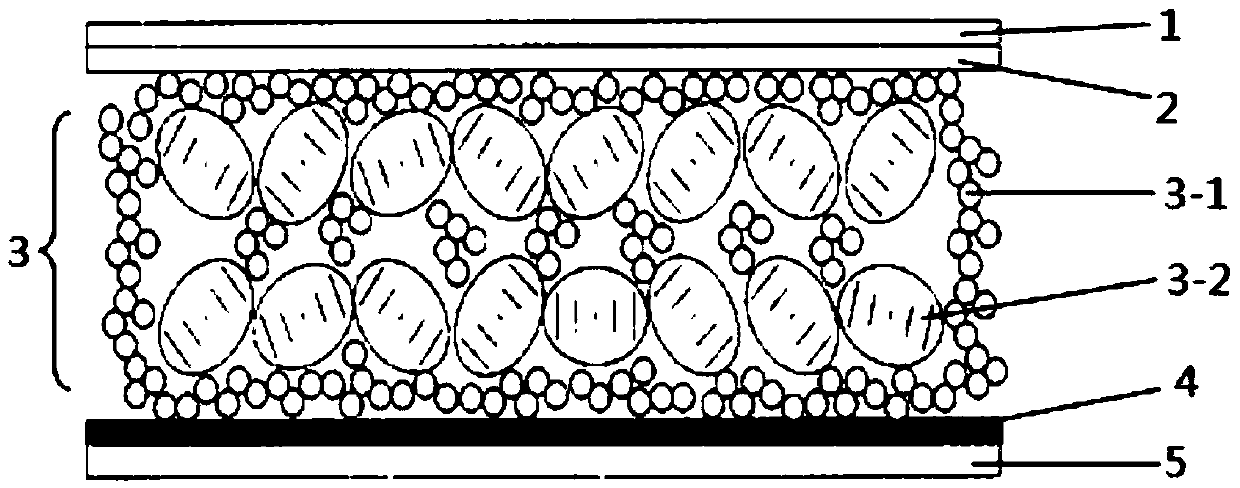 Microcapsule liquid crystal display device and application thereof