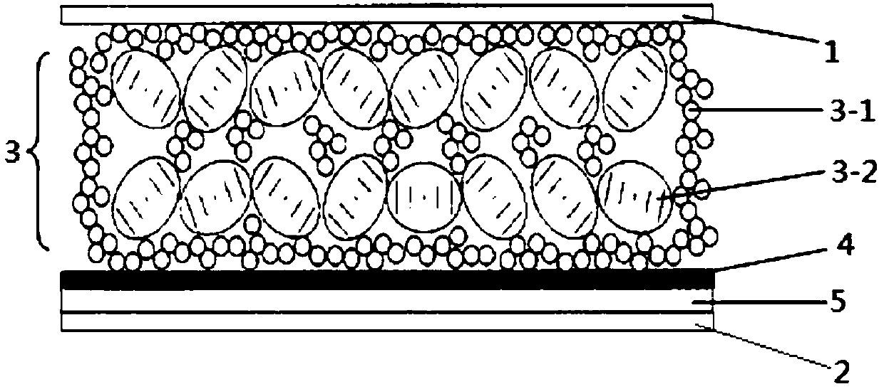 Microcapsule liquid crystal display device and application thereof