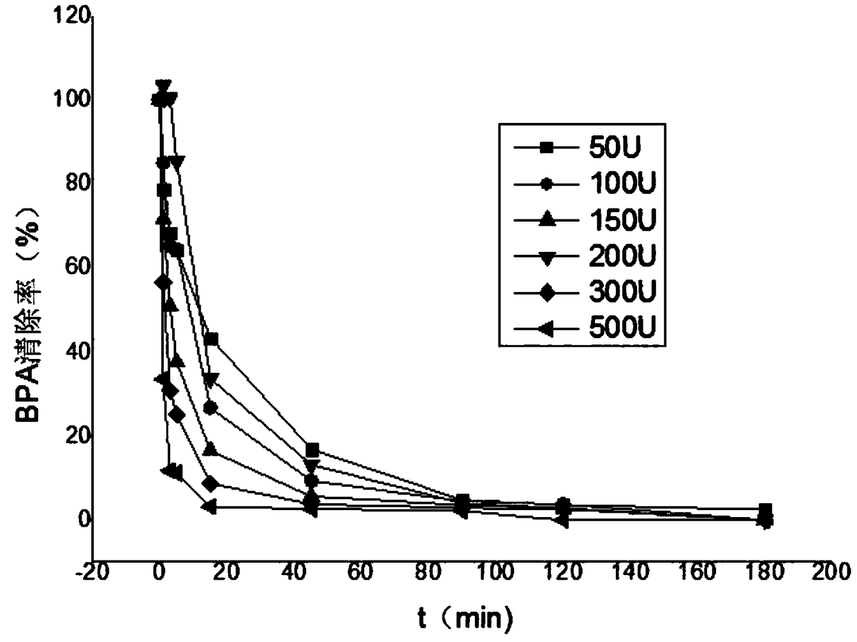 Method and system for removing bisphenol A by utilizing crude enzyme liquid of machilus nanmu