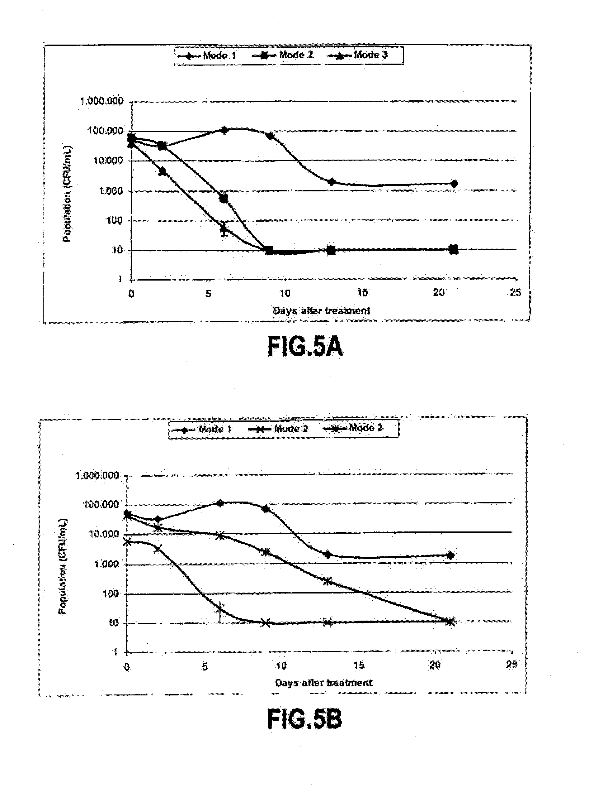 Chitosan Bornet