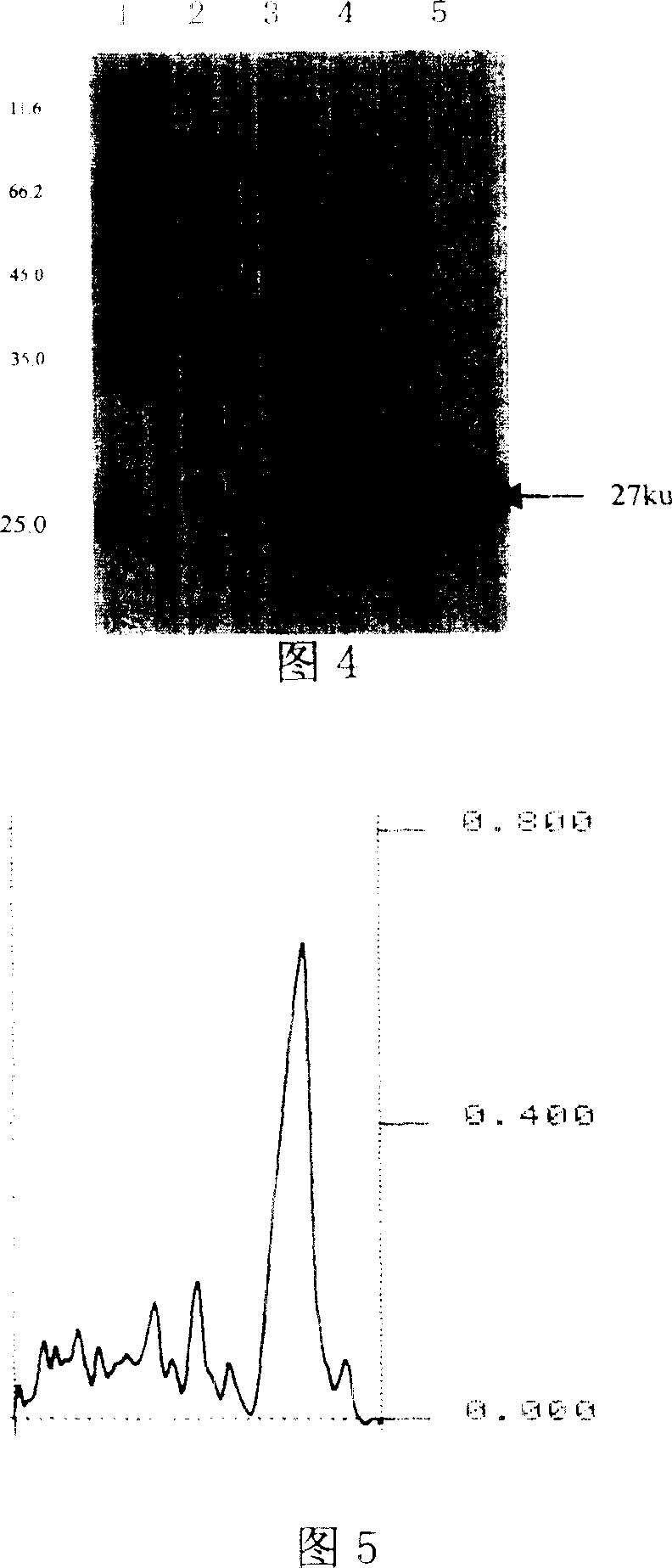 Recombinant akabane virus capsid protein, its preparation method and uses