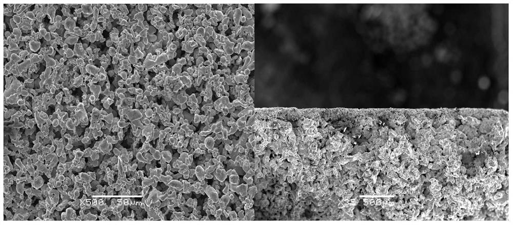 Method for coating surface of porous metal with film