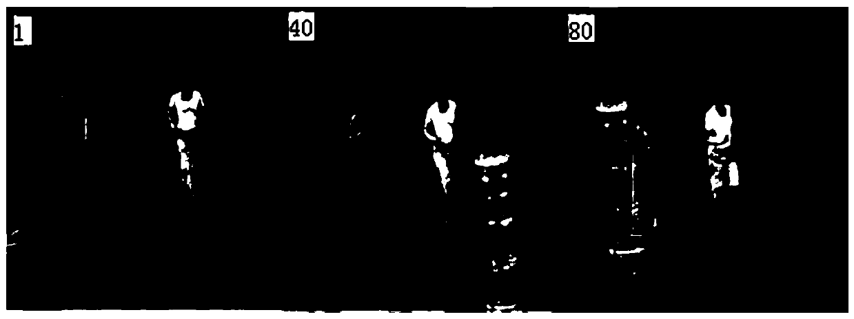 Pedestrian vision tracking method and device, model training method and device, equipment and storage medium