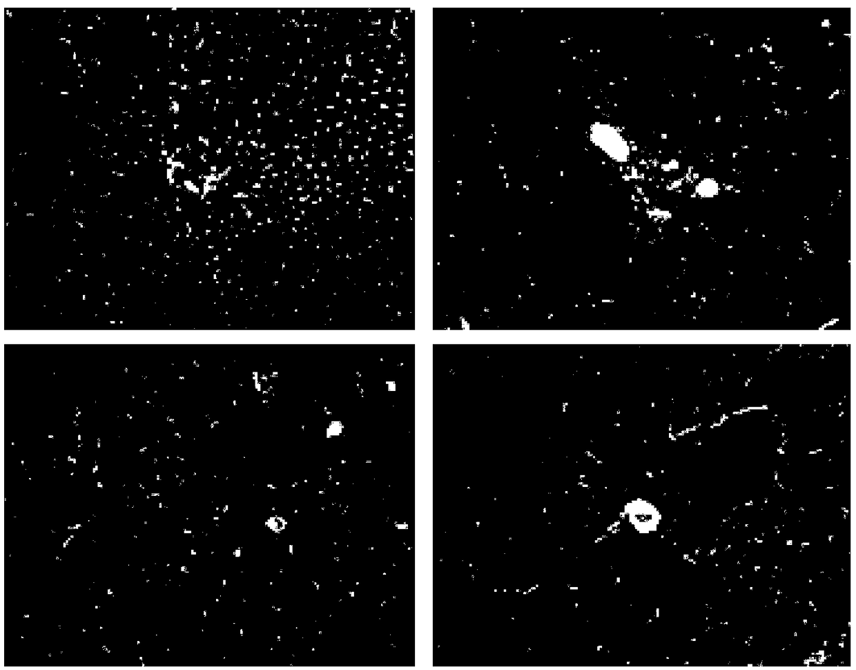 Application of chicken gall conversion product in preparing medicine for preventing and/ or curing liver fibrosis