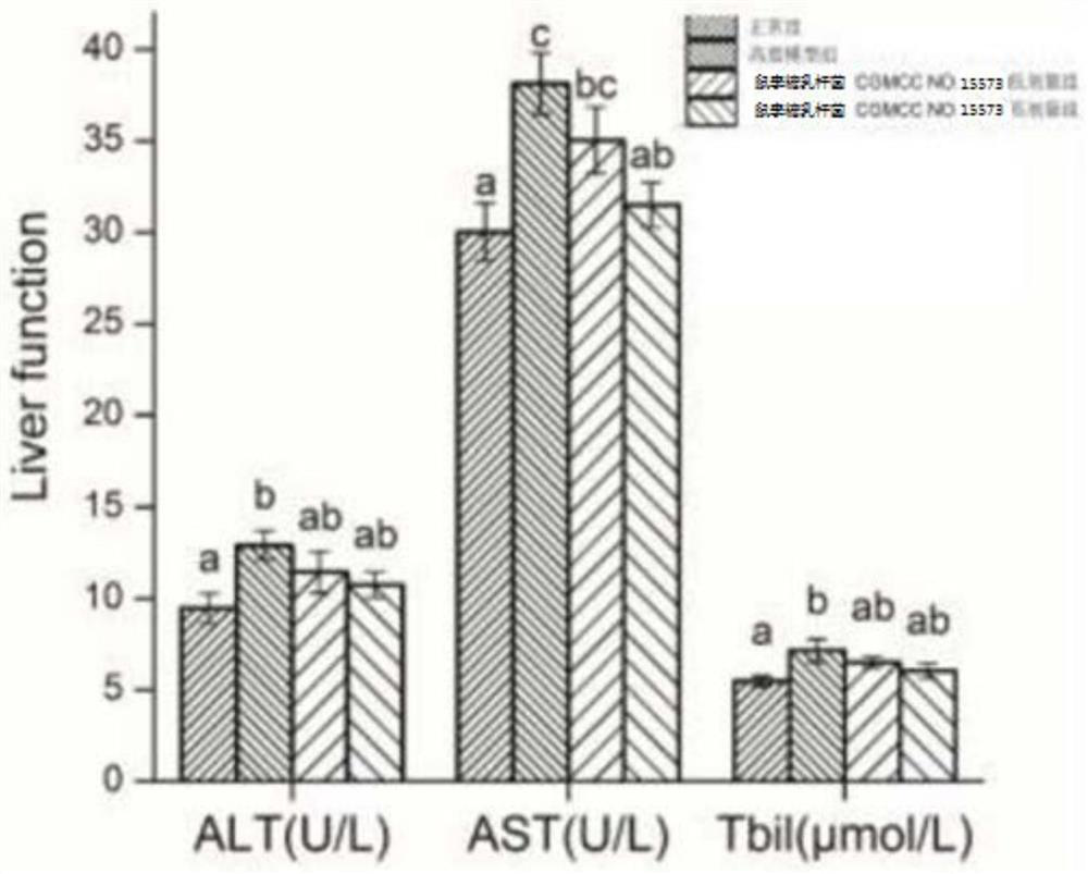 Application of Lactobacillus rhamnosus in the preparation of a composition with the effect of inhibiting fatty liver disease