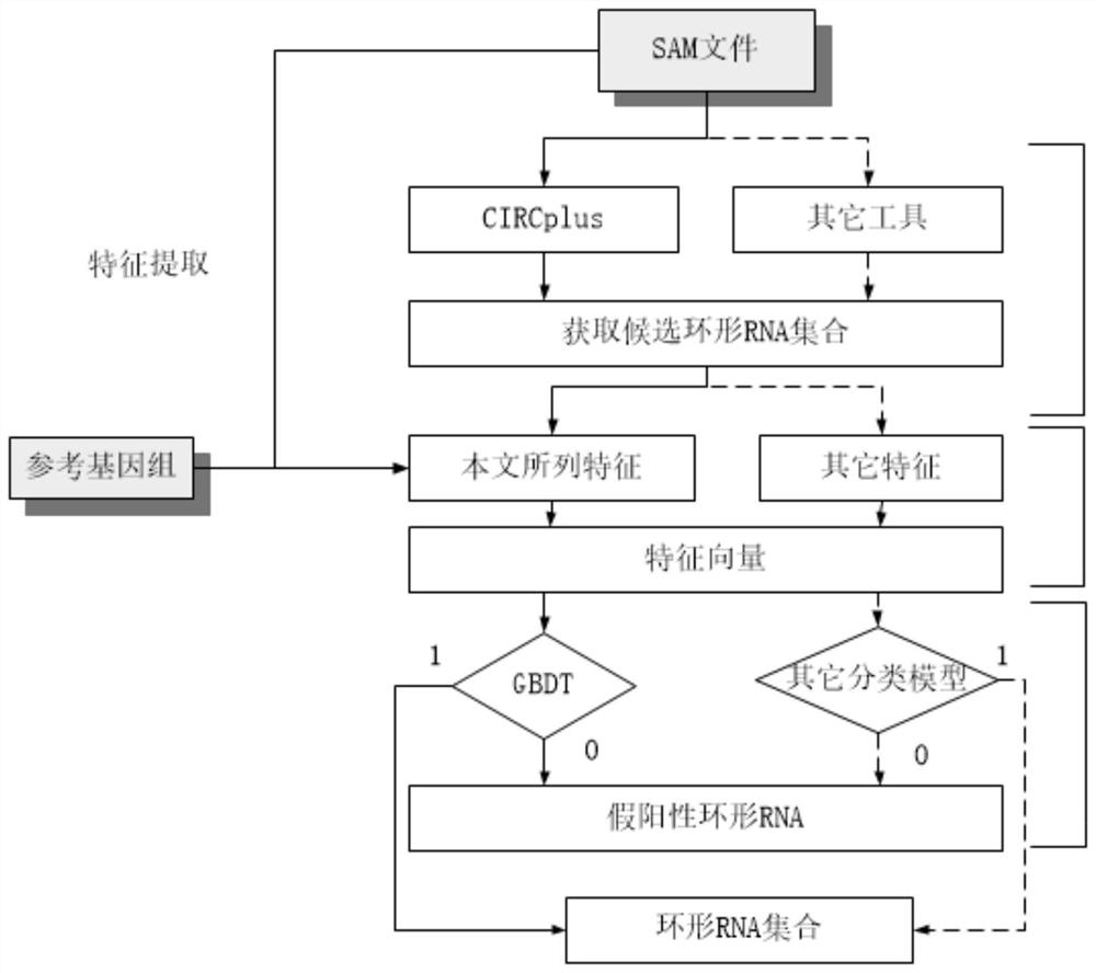 Circular RNA identification method based on machine learning strategy