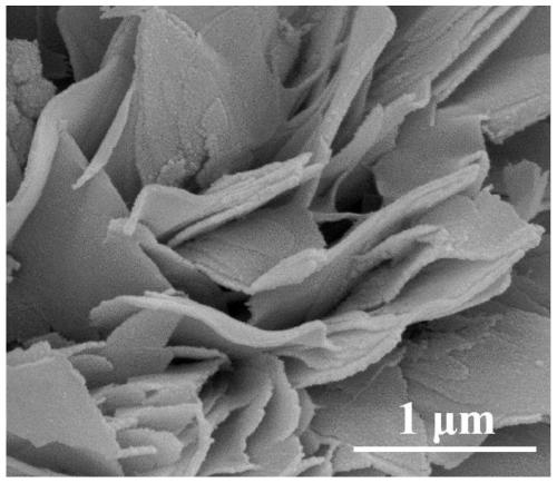 Supported cobalt-doped cerium dioxide nano-sheet preparation method