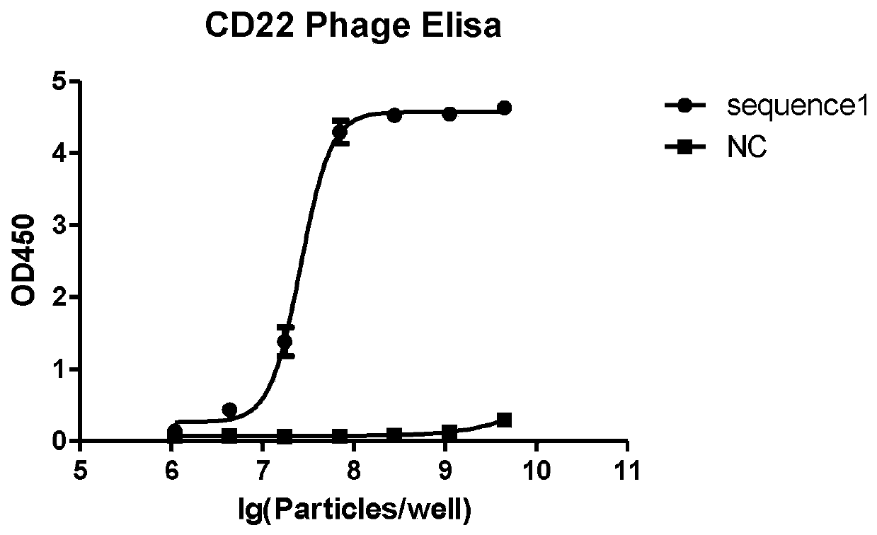CD22 protein targeting antibody, chimeric antigen receptor and drug