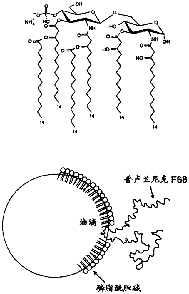 vaccine for hsv-2