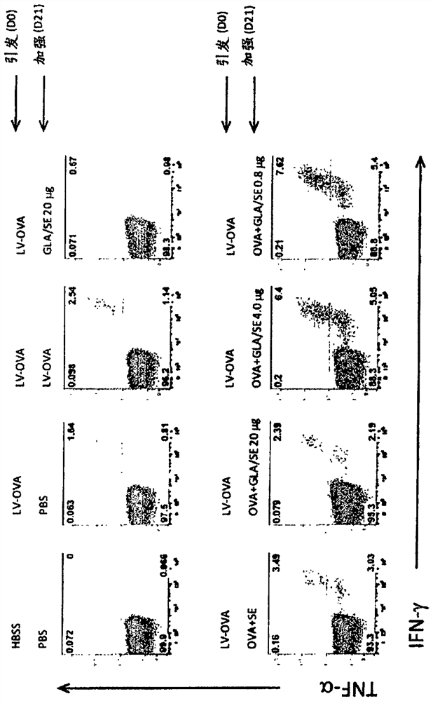 vaccine for hsv-2