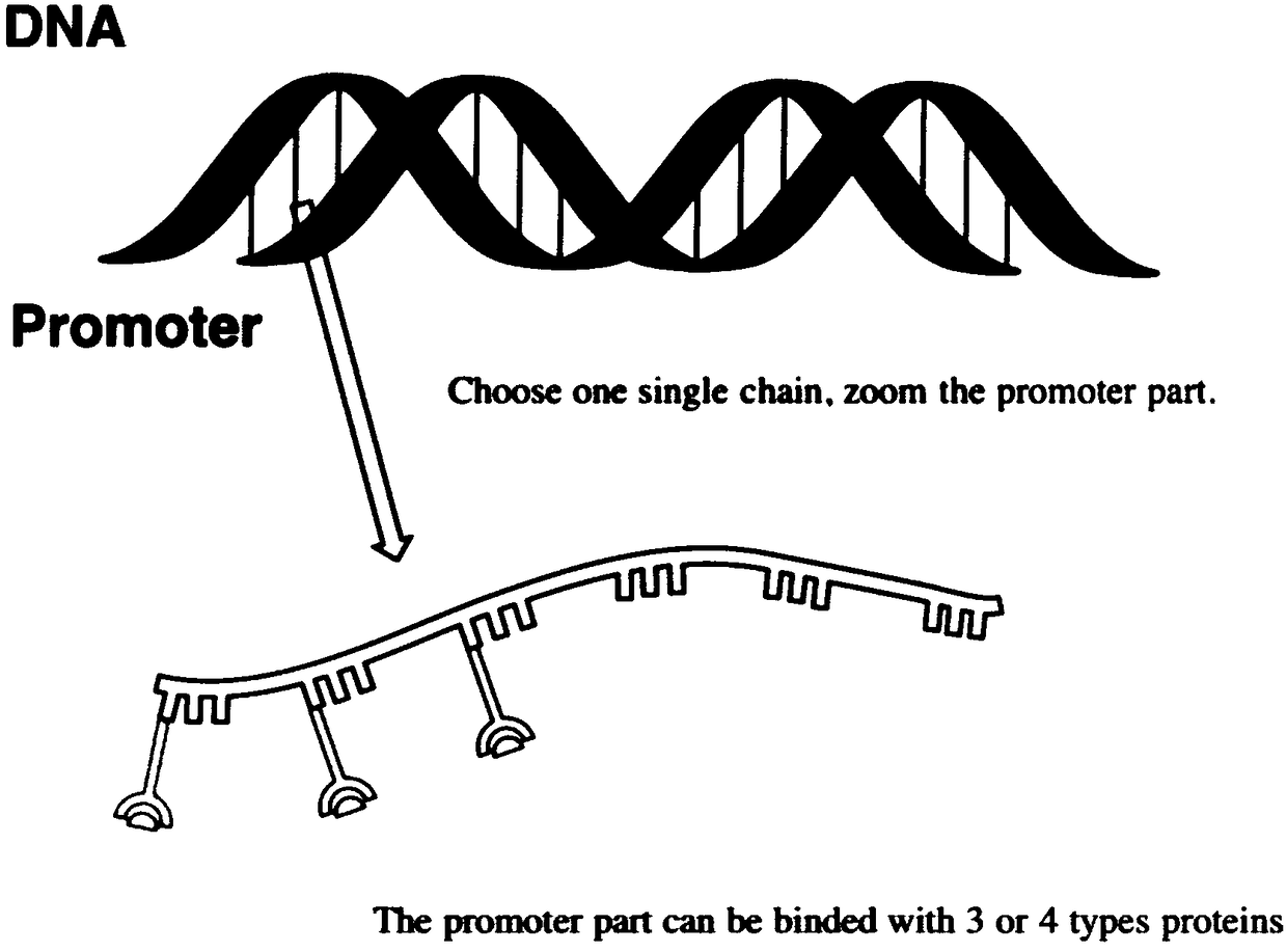 A gene circuit model for early warning of stroke