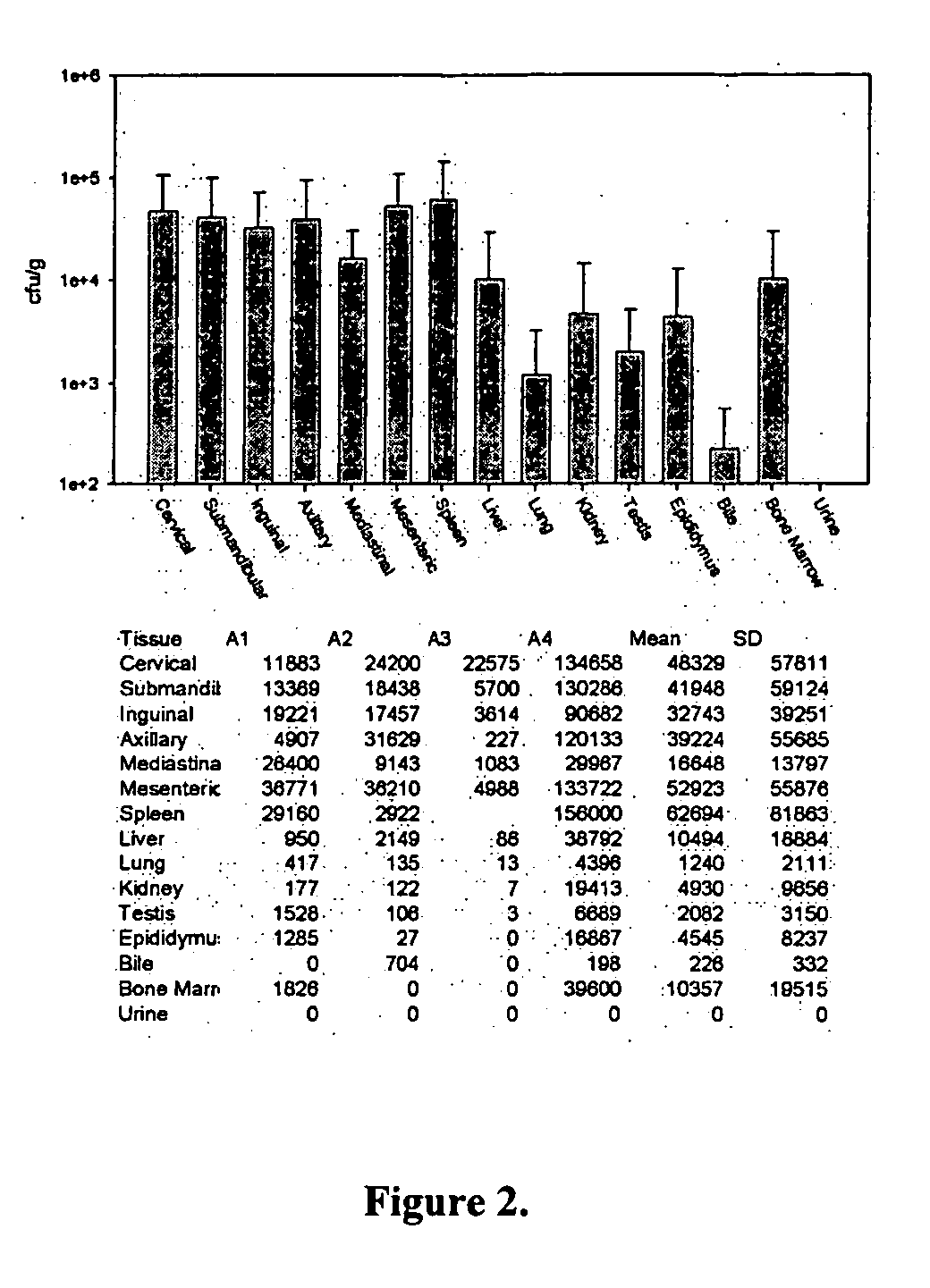 Mutant strains of Brucella melitensis and immunogenic compositions