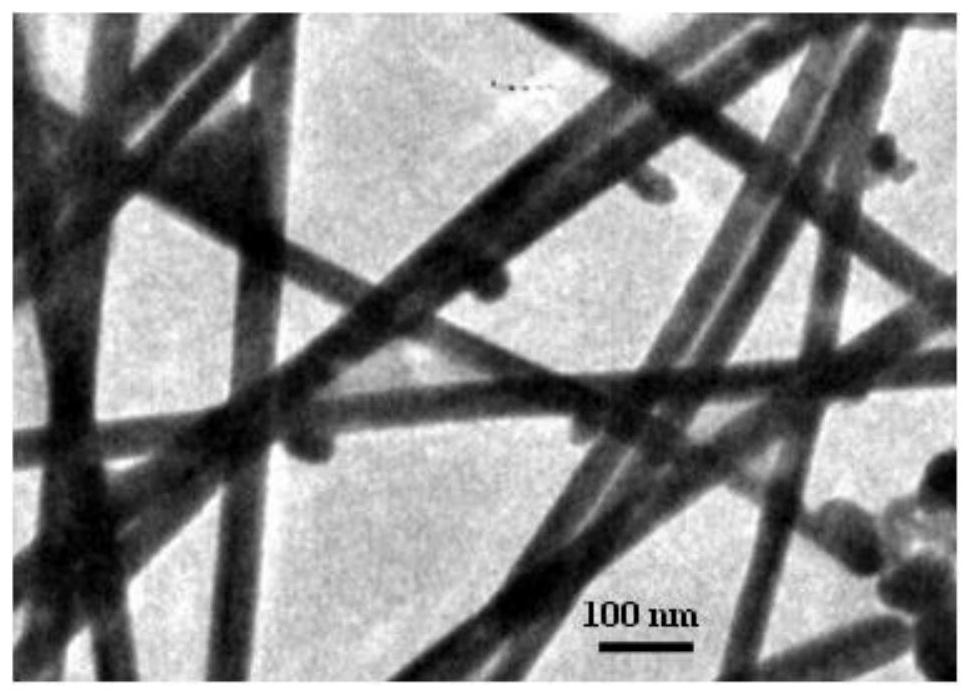 Silver nanowire and preparation method thereof