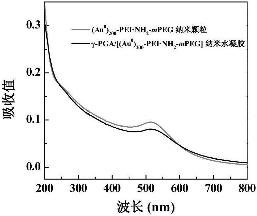 Preparation method of gamma-PGA (polyglutamic acid) hydrogel loaded with Au nanoparticles
