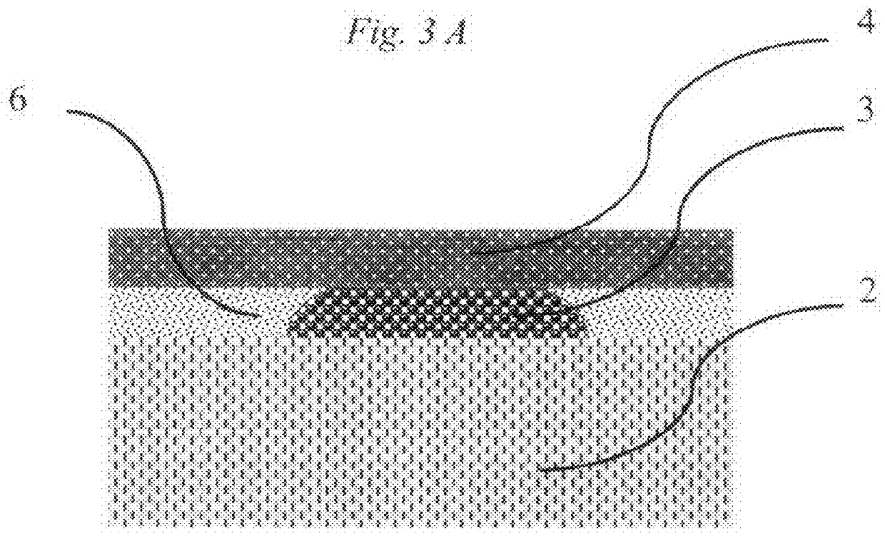 Method for Rapid Detection and Identification of micro-colonies using impregnated porous material