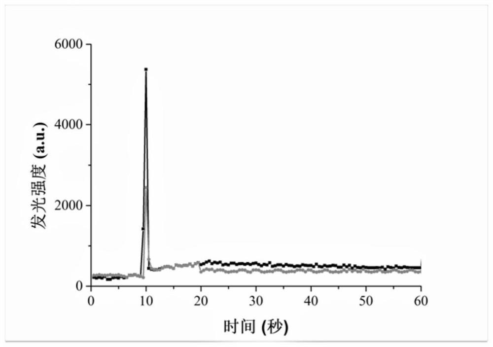 Optical fiber biosensor and application thereof in homogeneous chemiluminescence biological detection