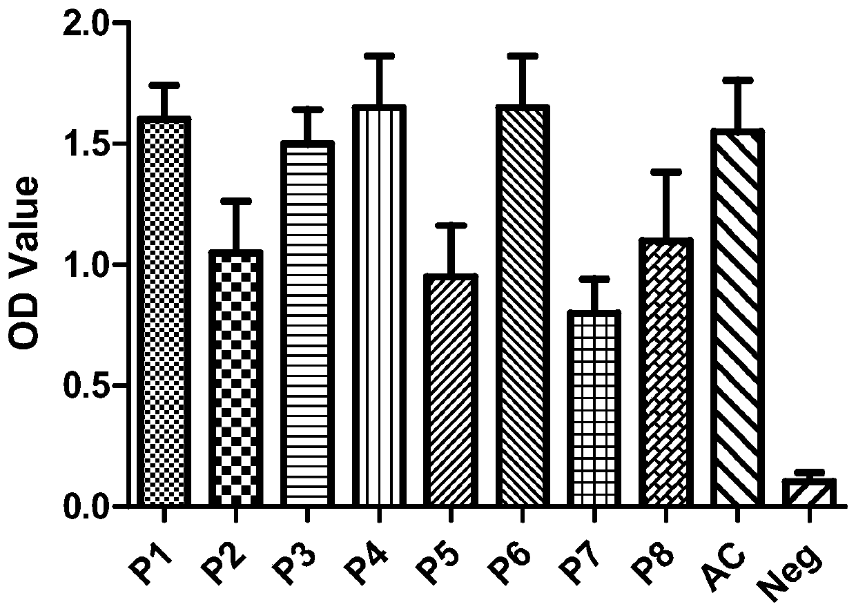 Porcine circular synthetic peptide vaccine and its preparation method and application