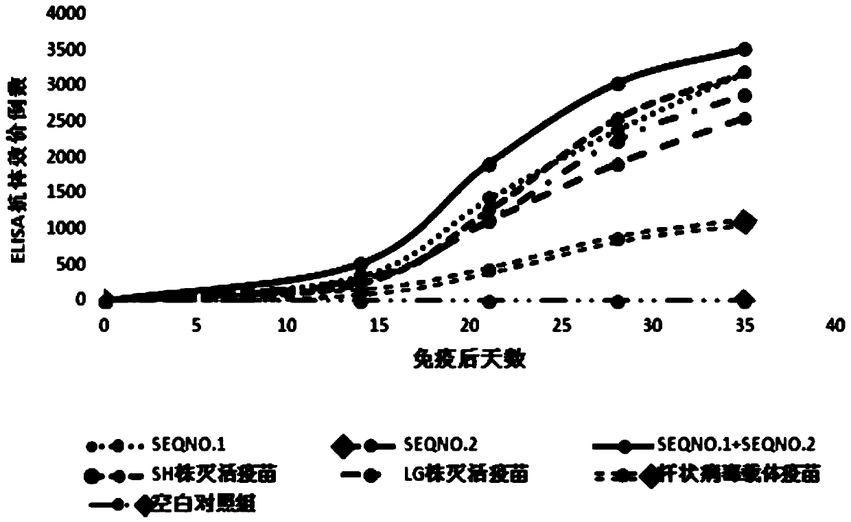 Porcine circular synthetic peptide vaccine and its preparation method and application