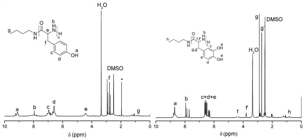 A kind of phenolic hydroxyl-containing amino acid-n-thiocarboxylic anhydride monomer and its synthesis and polymerization method