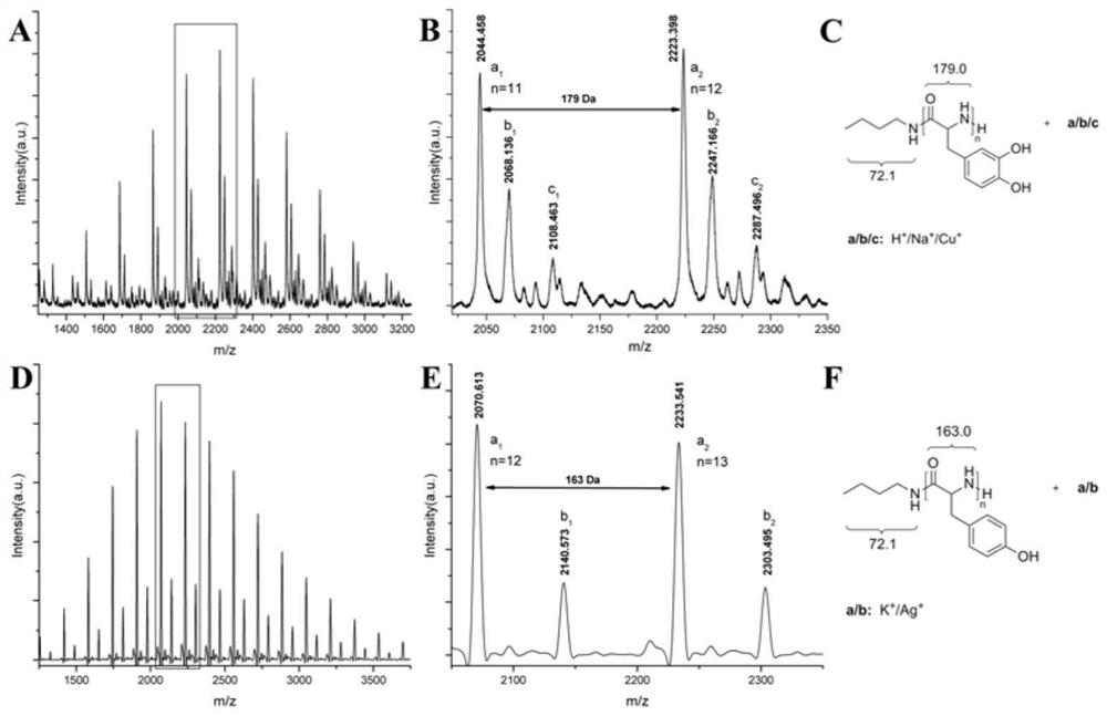 A kind of phenolic hydroxyl-containing amino acid-n-thiocarboxylic anhydride monomer and its synthesis and polymerization method