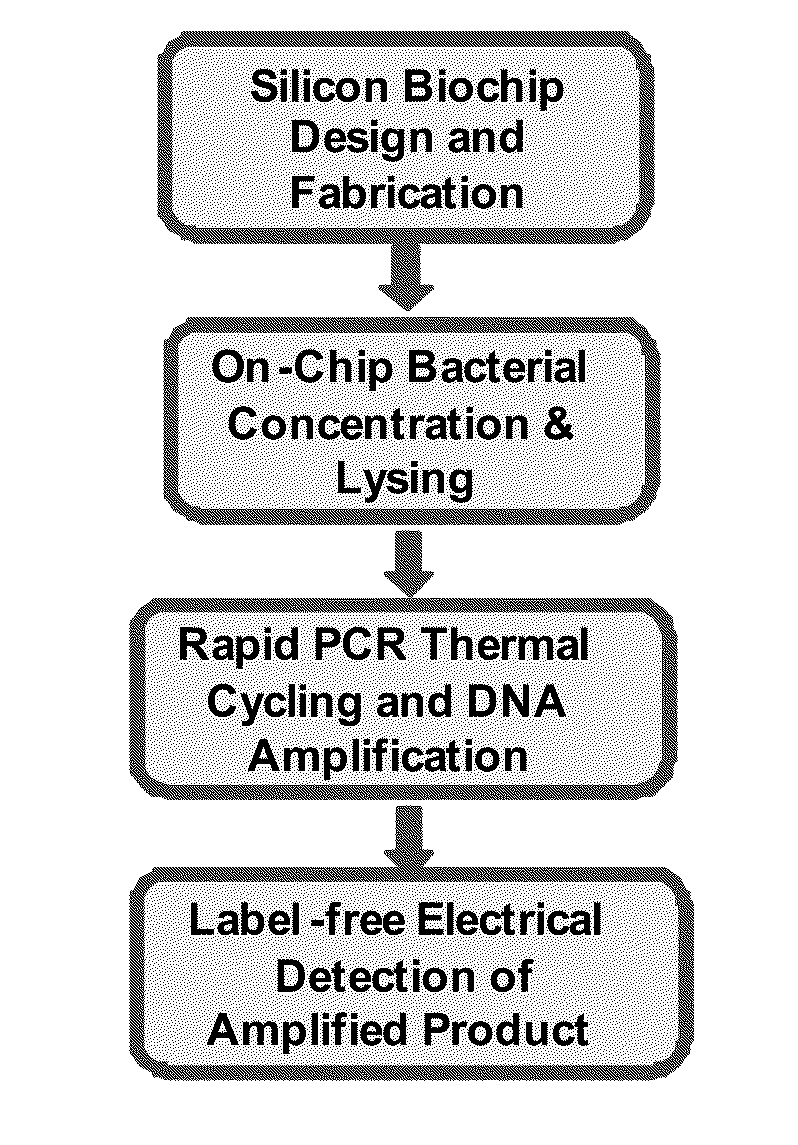 Label Free Detection of Nucleic Acid Amplification