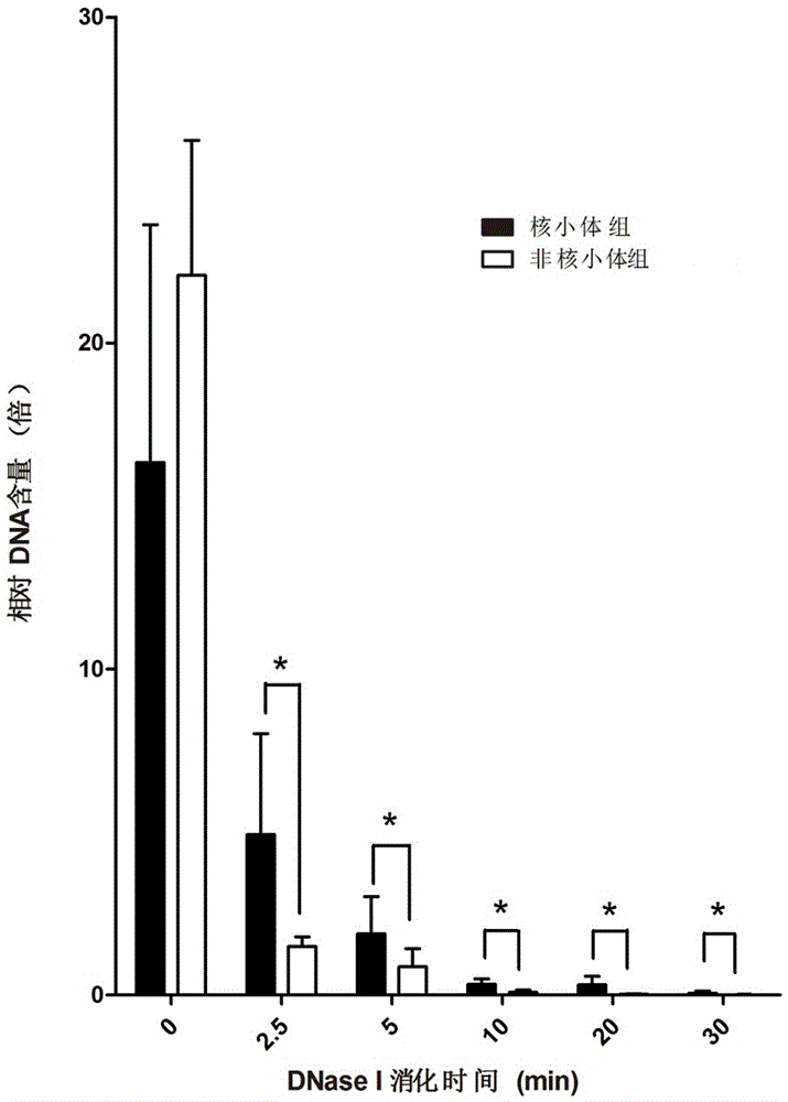 A detection method and application of degraded dna from spoilage material