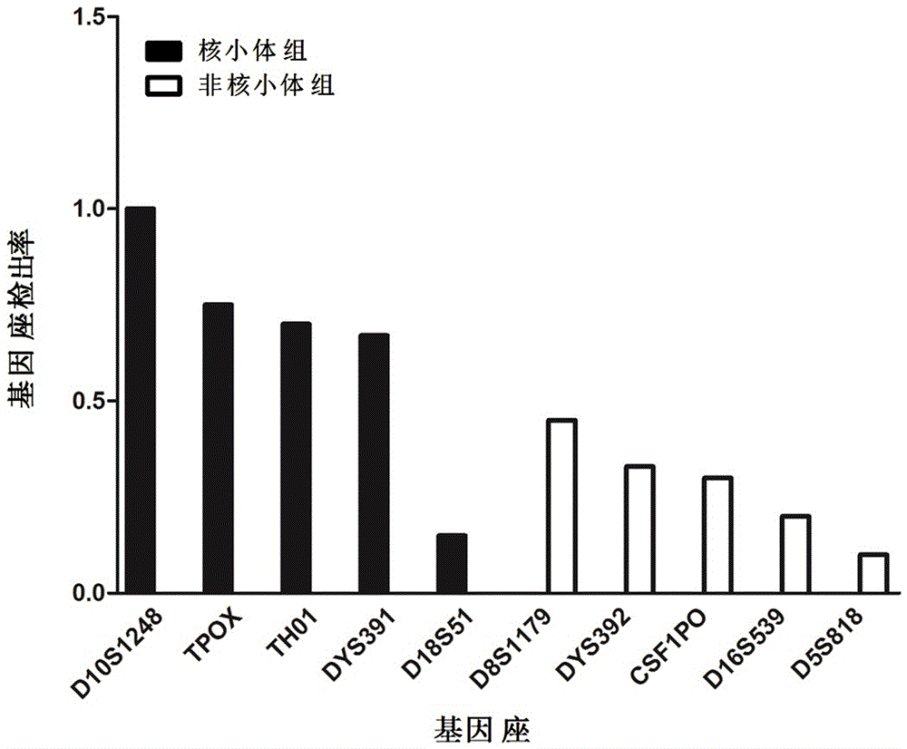 A detection method and application of degraded dna from spoilage material