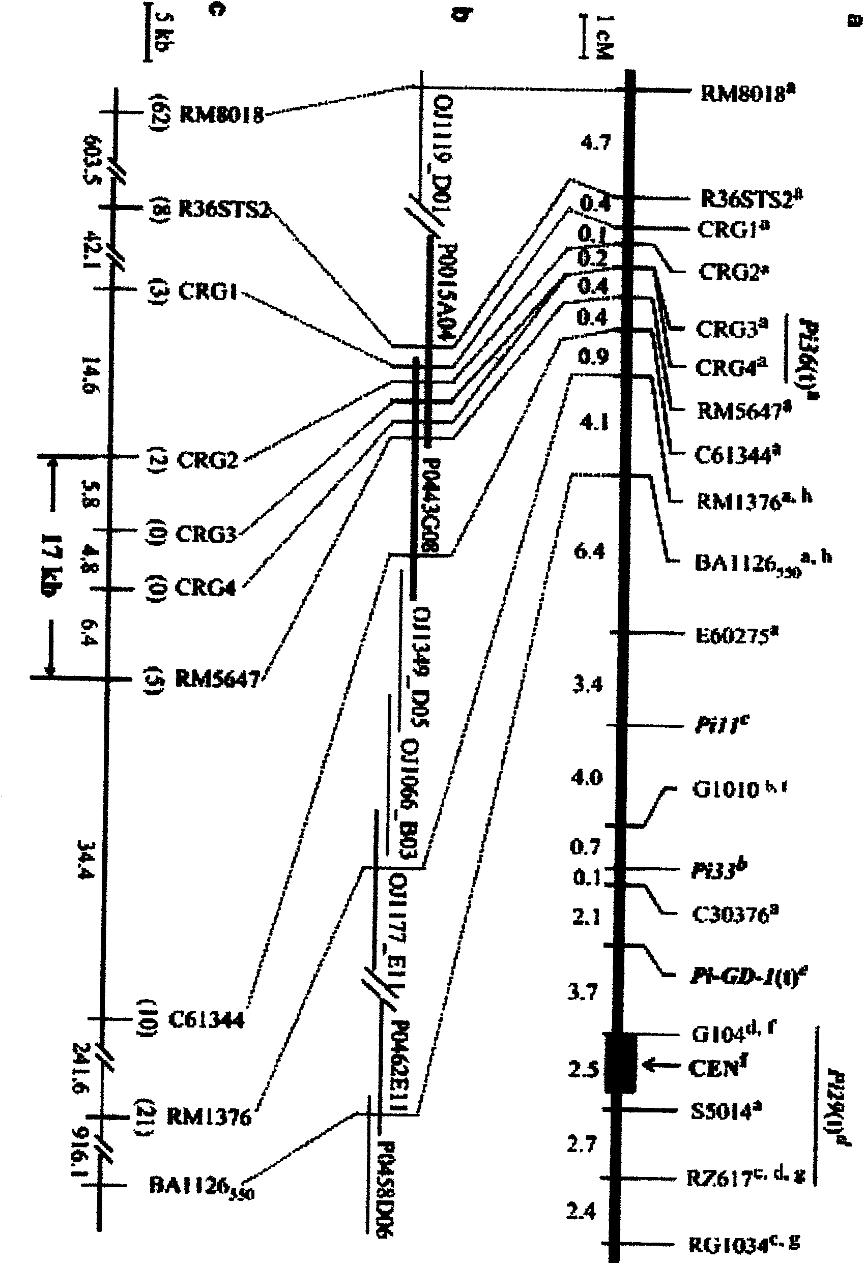 Resistance gene Pi36 of rice blast and its use