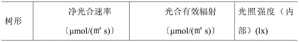 Peach tree shape-saving labor-saving tree shape cultivation method