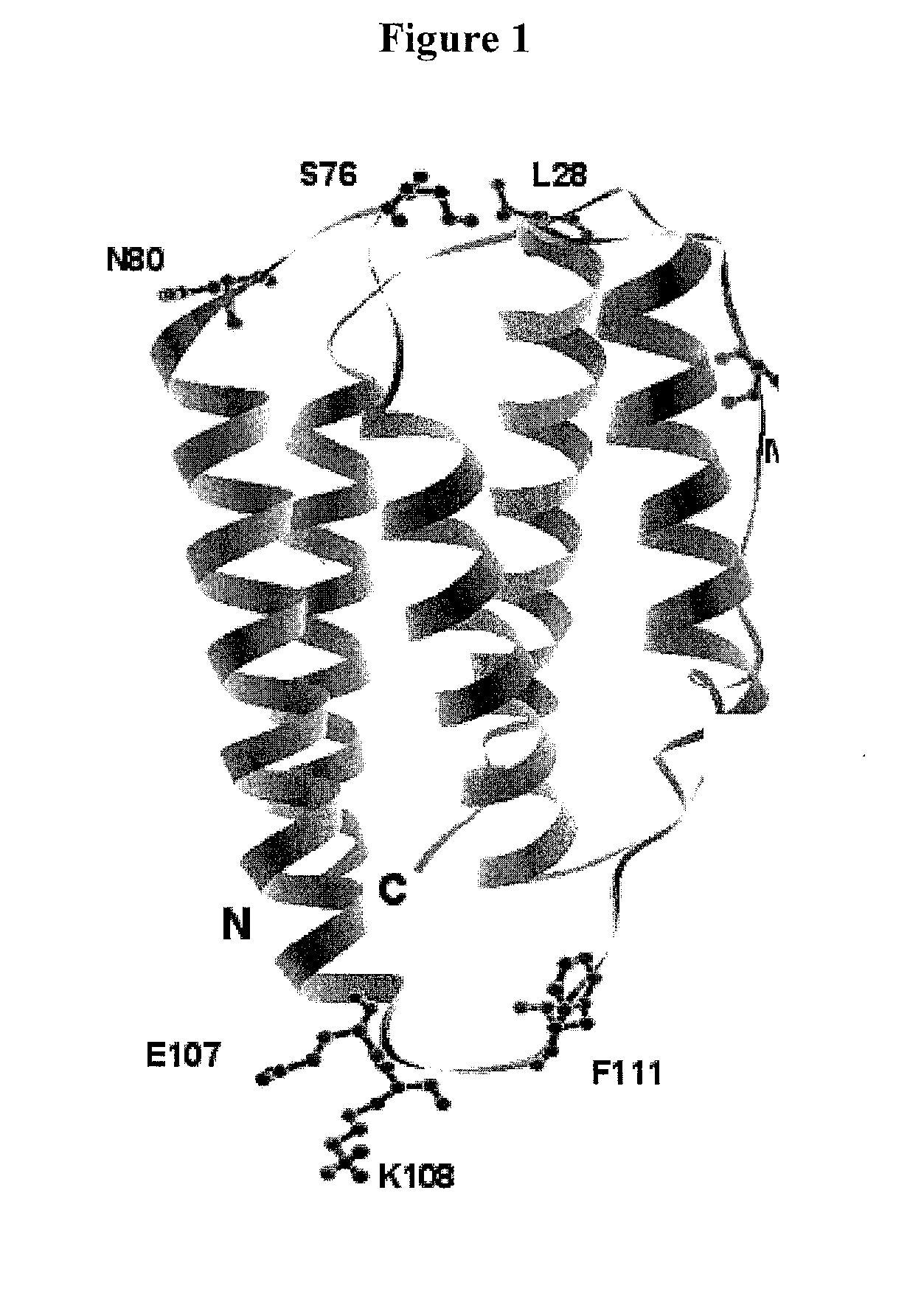 Modified interferon beta polypeptides and their uses