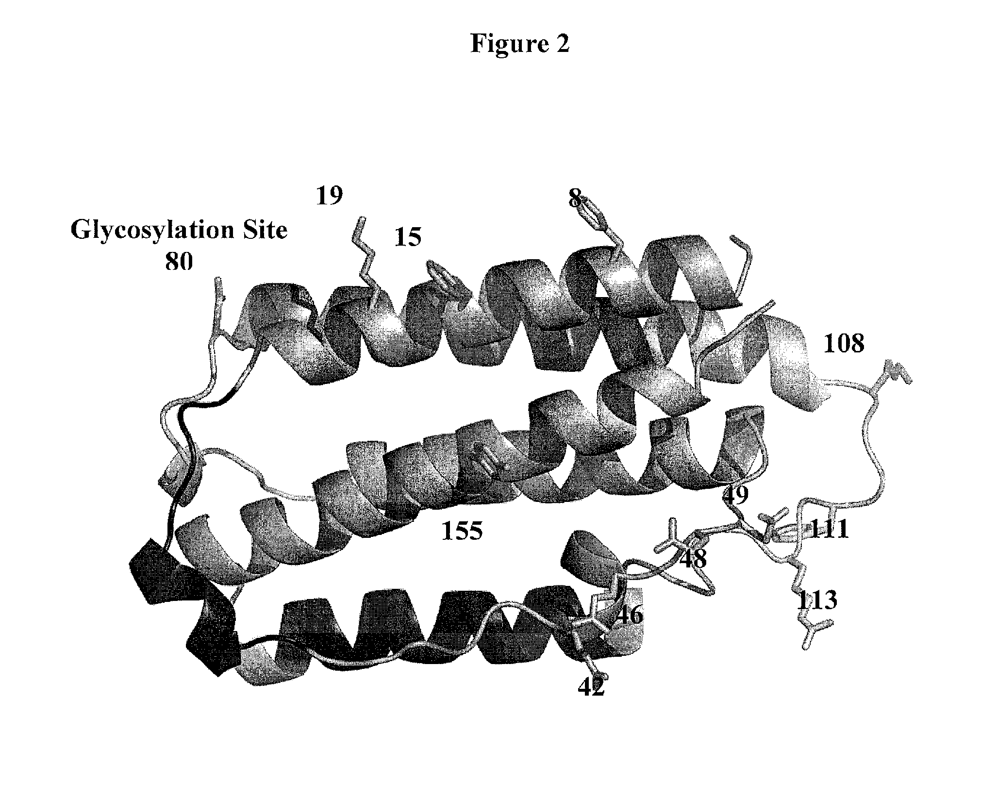 Modified interferon beta polypeptides and their uses