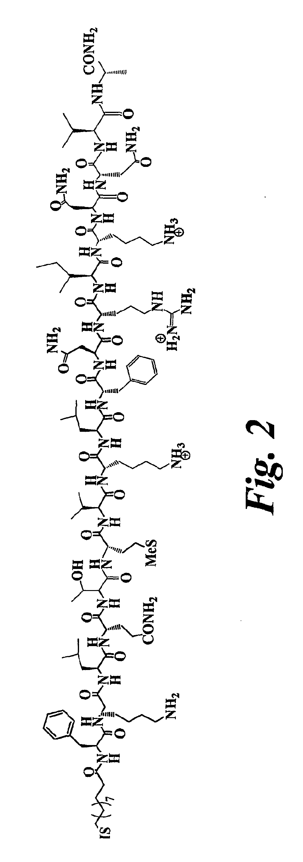 Nanoparticles Comprising Antigens and Adjuvants, and Immunogenic Structures