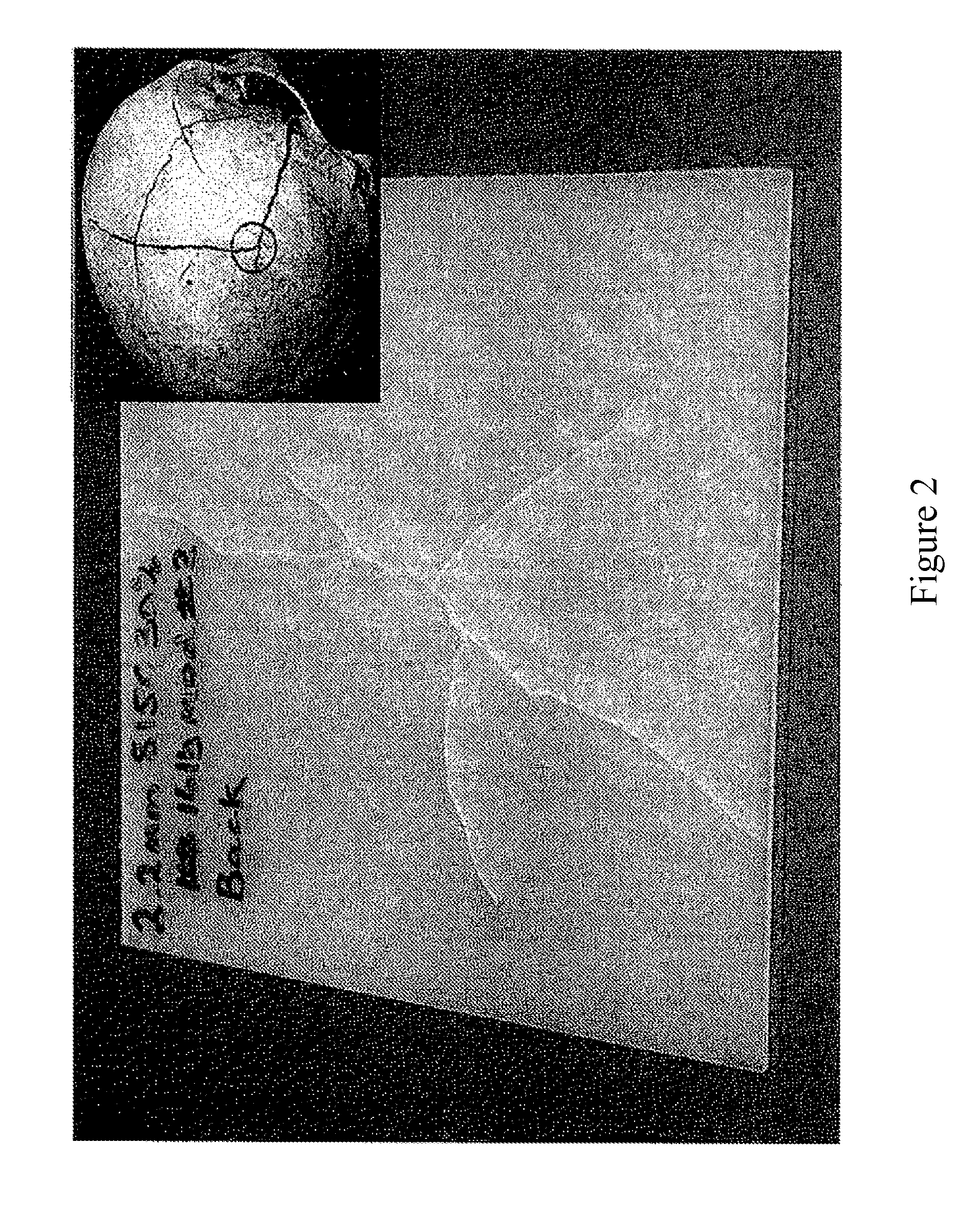Cranial Bone Surrogate and Methods of Manufacture Thereof
