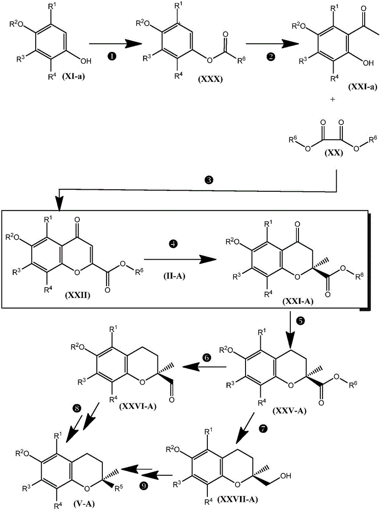 Synthesis of chromane compounds and their derivatives by a copper-catalyzed conjugate addition reaction