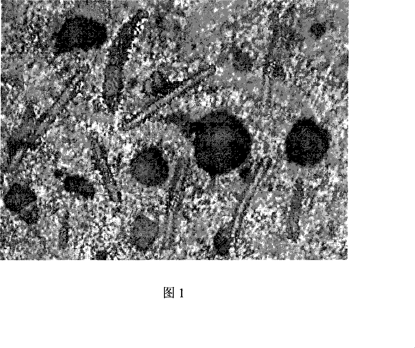 Carbon fiber enhanced porous normal pressure sintering silicon carbide and preparation method thereof