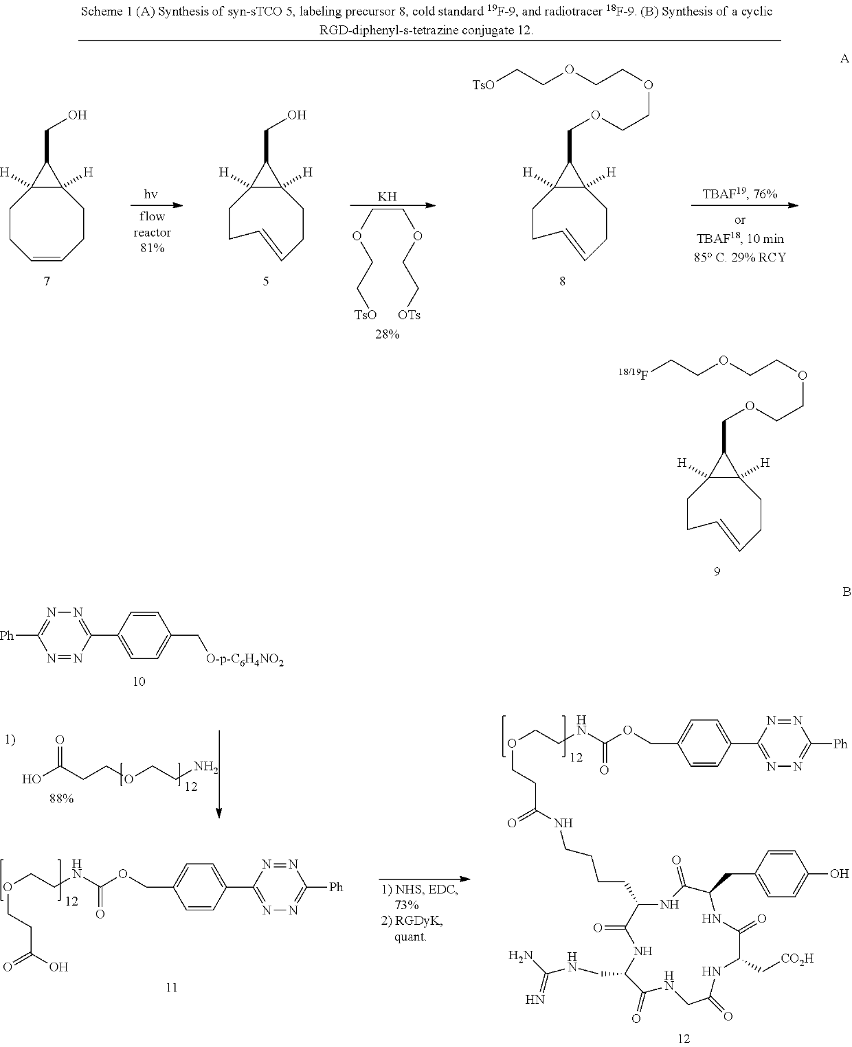 Conformationally strained trans-cycloalkenes for radiolabeling