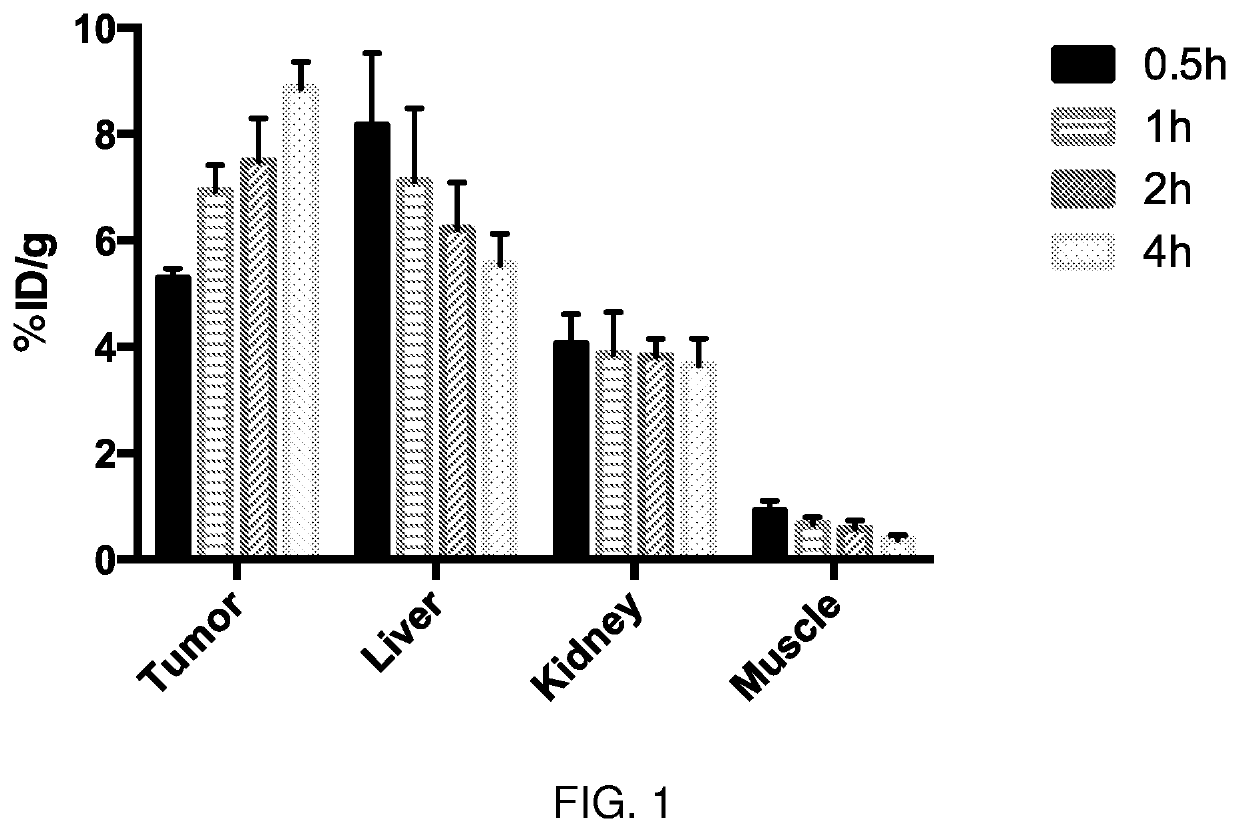 Conformationally strained trans-cycloalkenes for radiolabeling