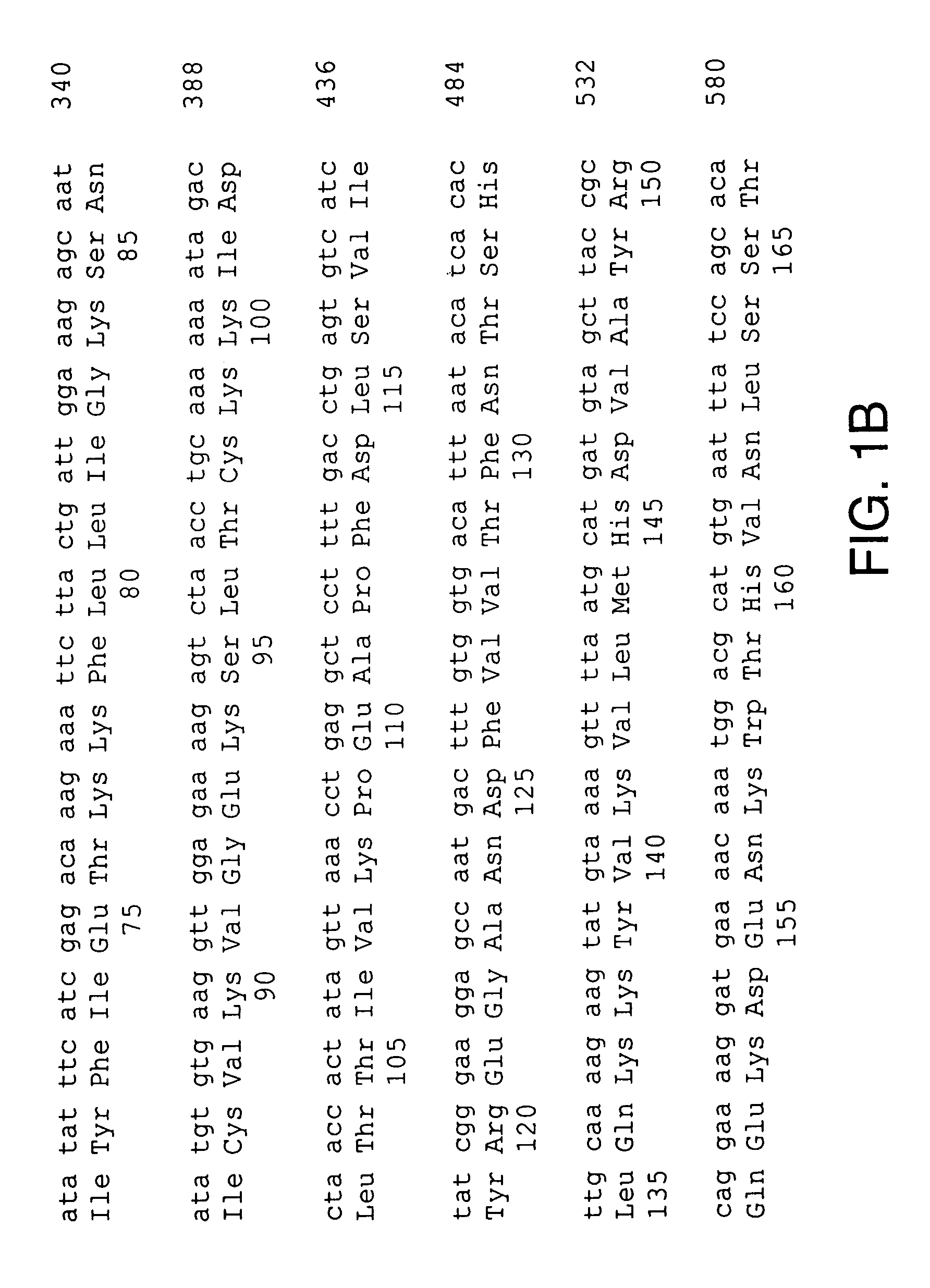 Cytokine receptor