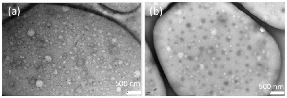 A kind of ultraviolet barrier ternary nanocomposite film material and preparation method thereof