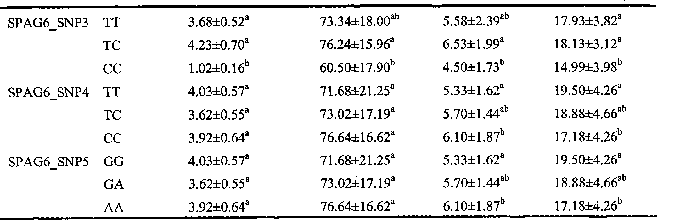 SNPs (Single nucleotide polymorphisms) sites of SPAG6 (Sperm associated antigen 6) gene for screening chicken with excellent sperm quality, heplotype composition thereof and application of heplotype composition