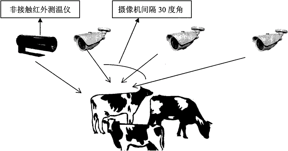 An Intelligent Monitoring System of Livestock Behavior Based on Internet of Things and Computer Vision