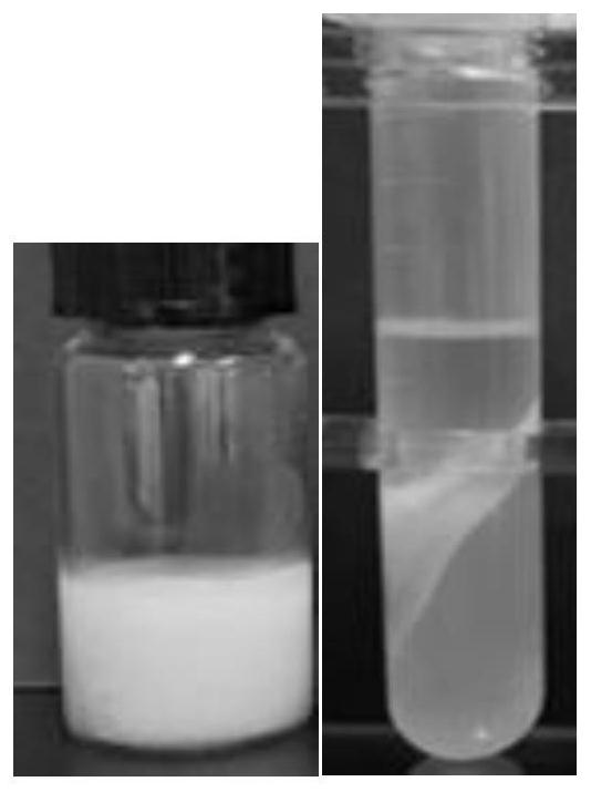 Preparation method of Pickering emulsion gel with synergistically stable alcohol soluble protein, amino acid or/and polysaccharide
