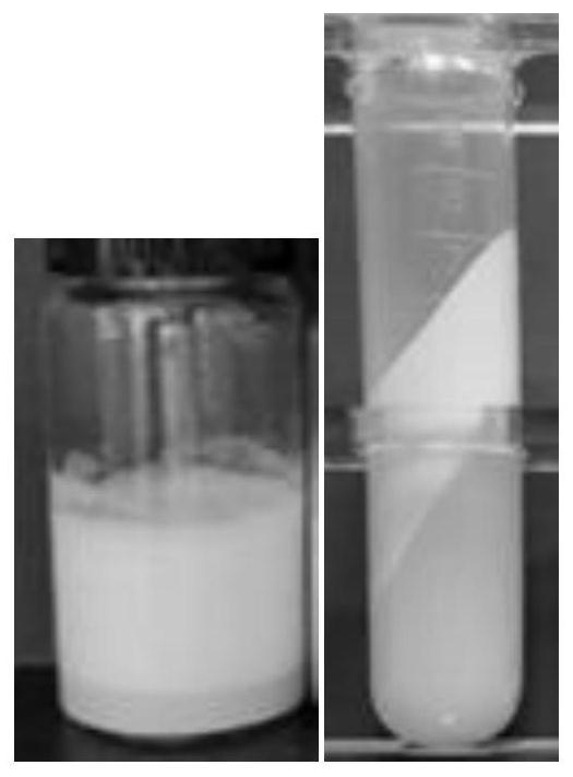 Preparation method of Pickering emulsion gel with synergistically stable alcohol soluble protein, amino acid or/and polysaccharide