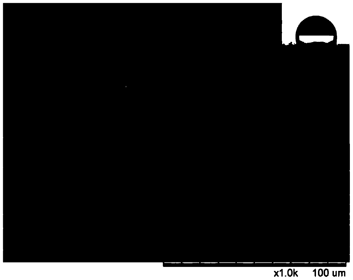 Stain-resistant high-temperature-resistant water-based coating and preparation method thereof