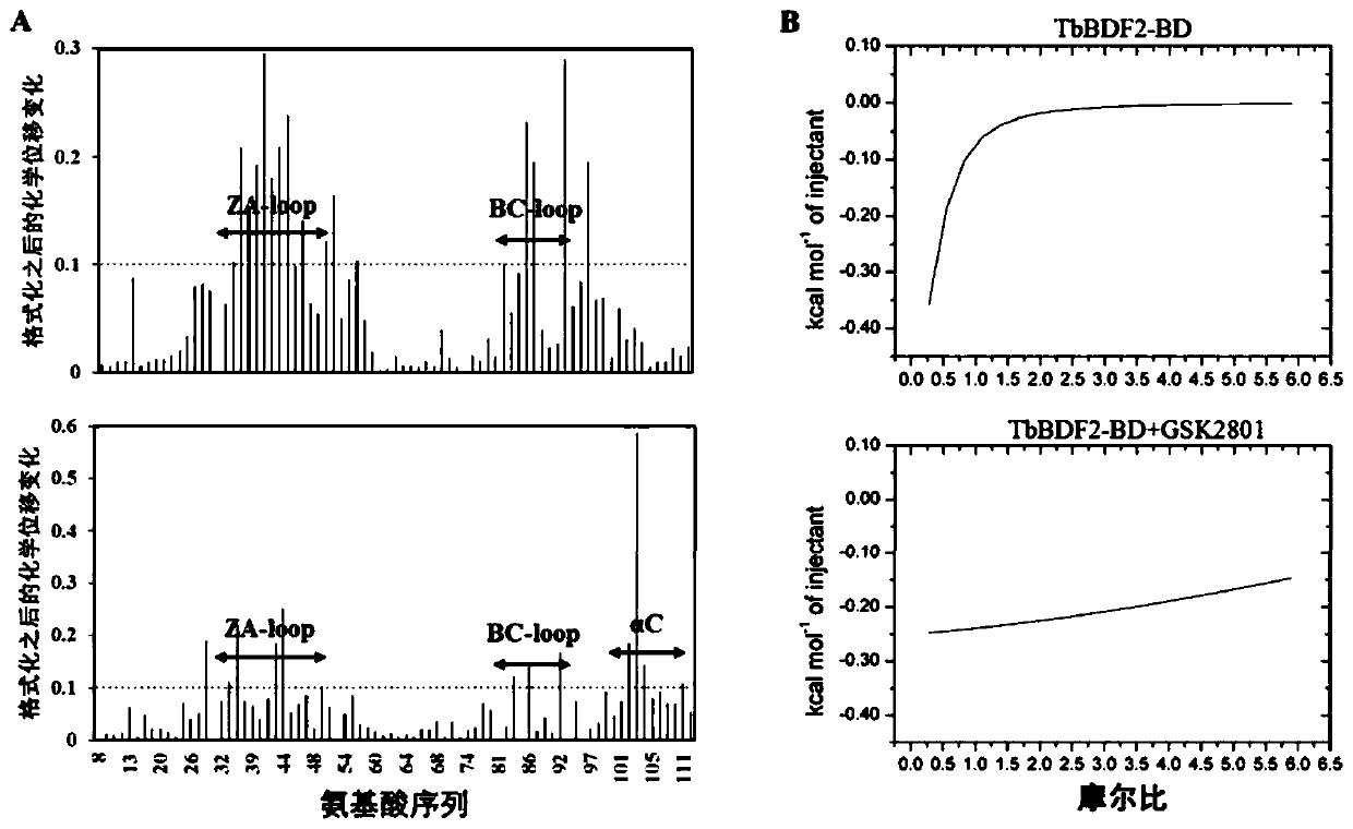 Compounds capable of killing trypanosoma brucei and their application in the treatment of trypanosomiasis