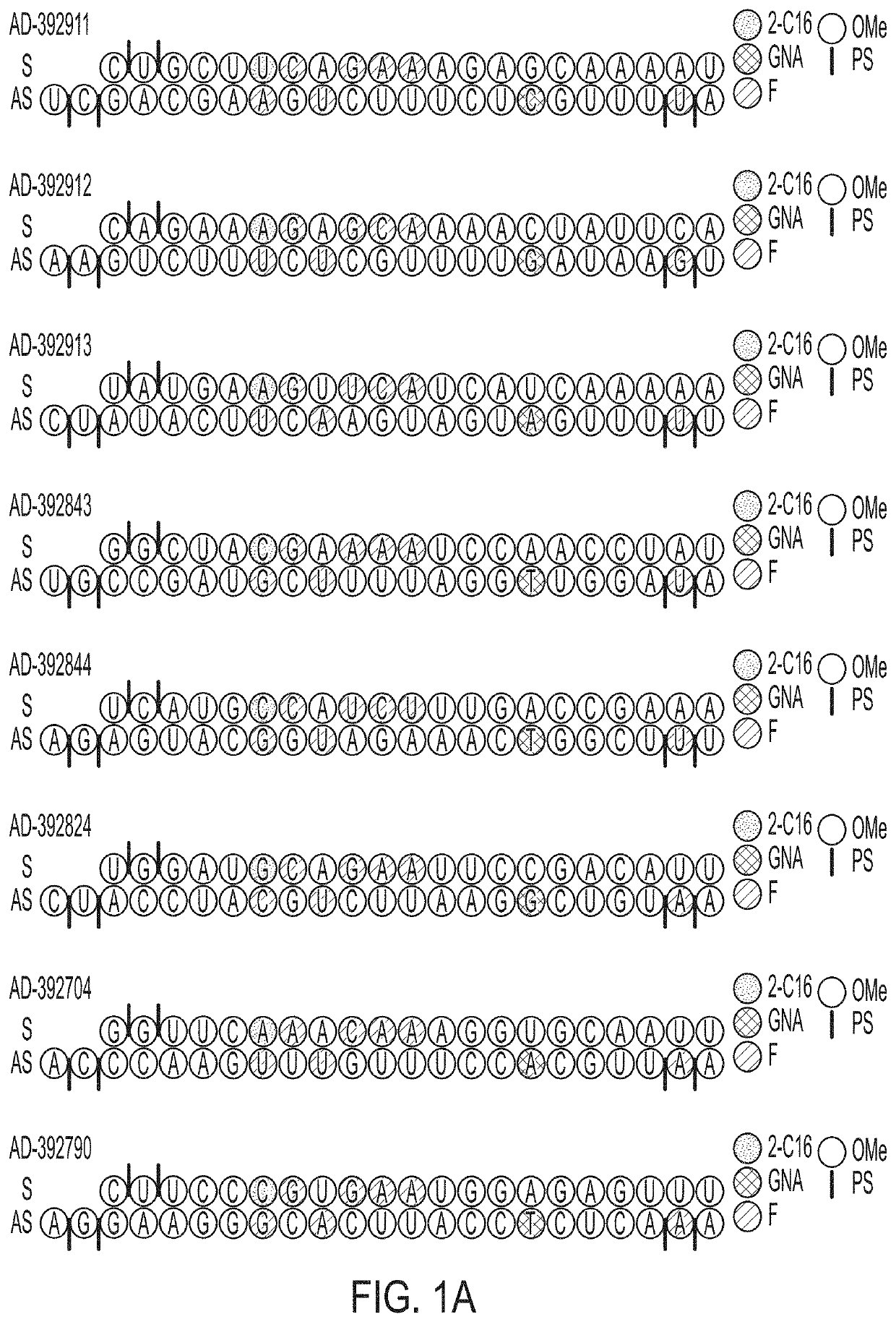 AMYLOID PRECURSOR PROTEIN (APP) RNAi AGENT COMPOSITIONS AND METHODS OF USE THEREOF