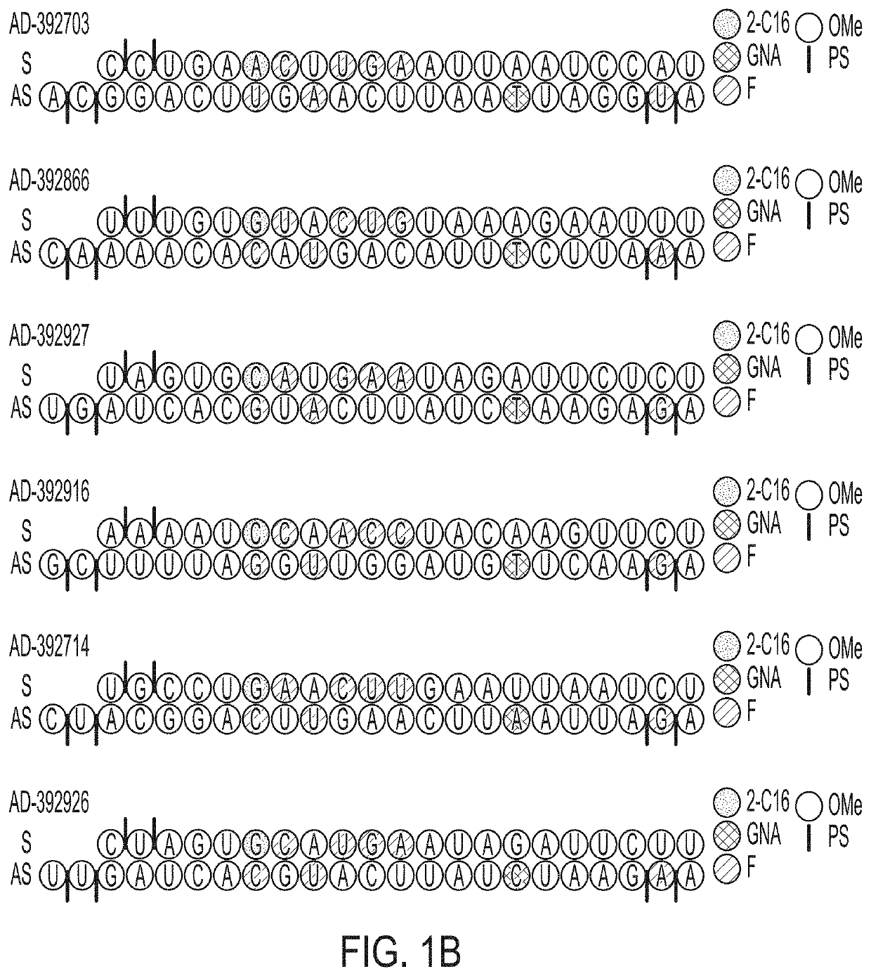 AMYLOID PRECURSOR PROTEIN (APP) RNAi AGENT COMPOSITIONS AND METHODS OF USE THEREOF