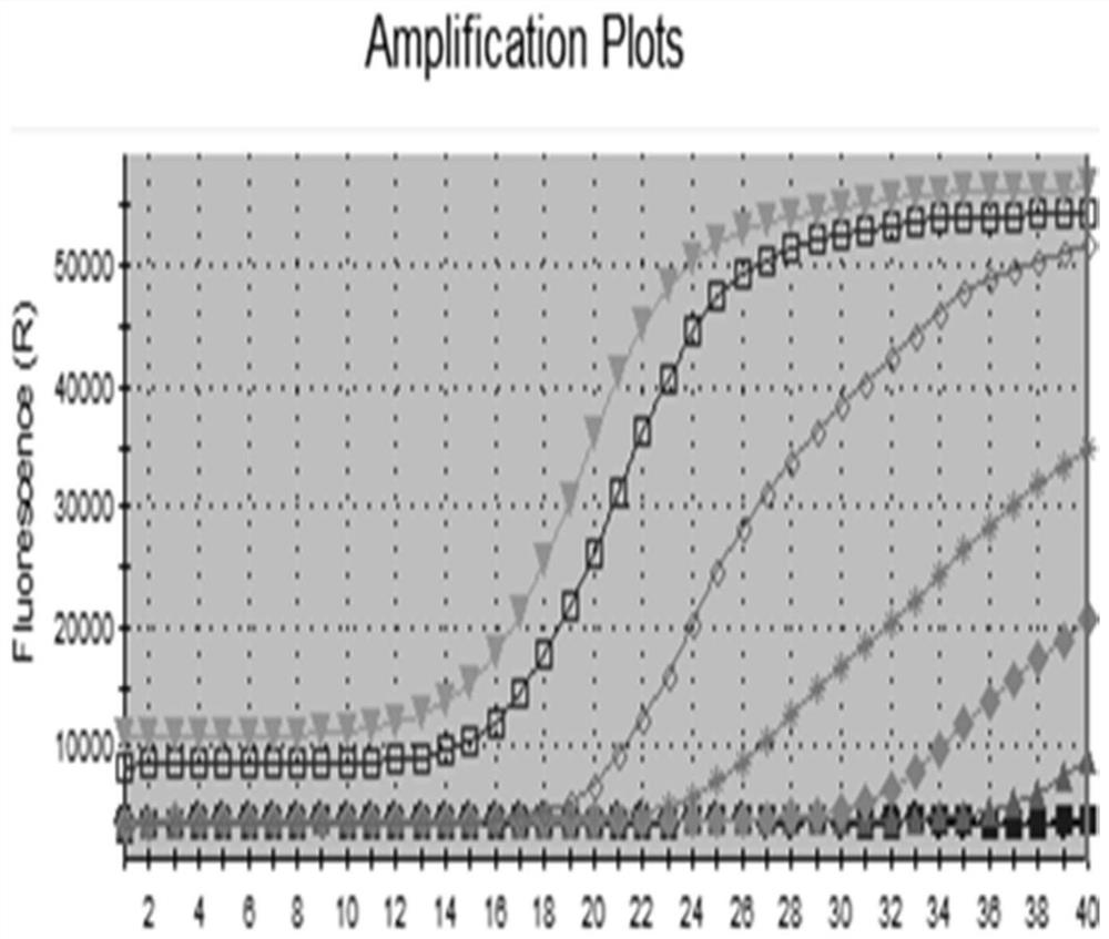 Primer and kit for detecting peripheral blood circulation microRNA related to lung cancer diagnosis and treatment