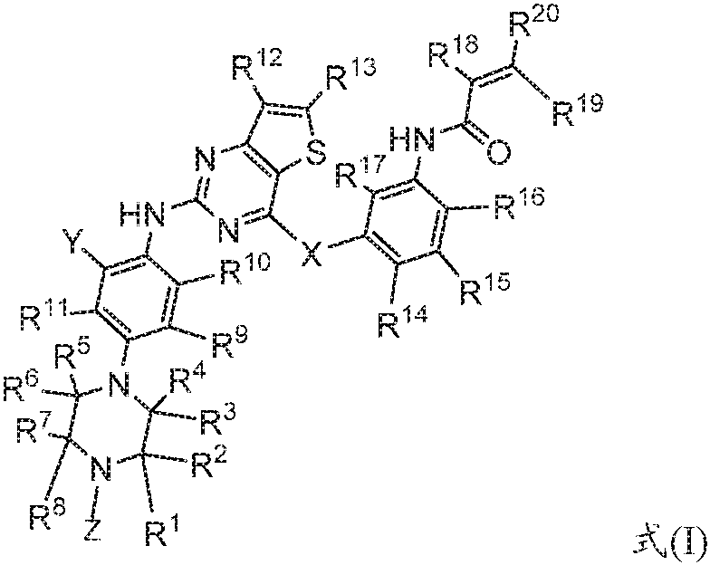 A kind of fused pyrimidine compound and the composition comprising the compound and its application